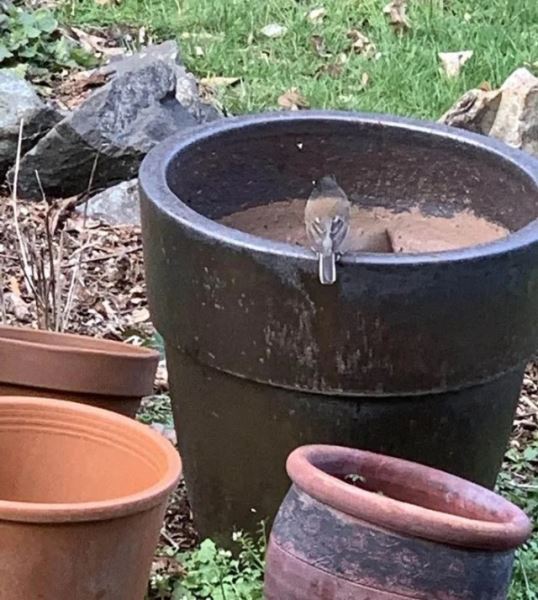 Неожиданные совпадения и сходства (33 фото)