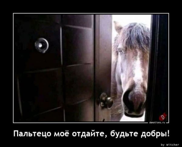 Демотиваторы прикольные для всех: «Фитотерапия» (17 фото)