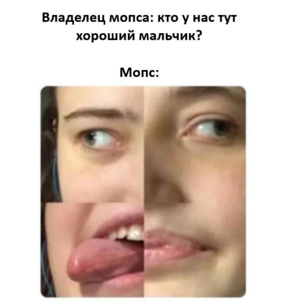 Пятничные фотоприколы: «Ребята, подождите!» (38 шт)