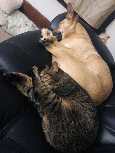 Середина недели — приколы подоспели: «Что нравится в постели?» (36 фото)