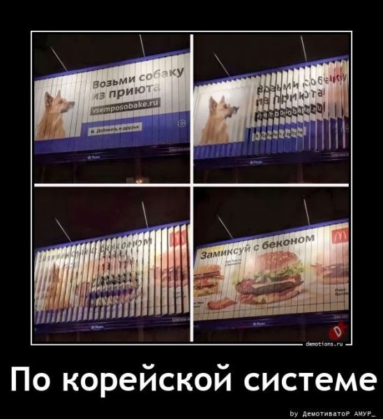 Демотиваторы дня: «Детское заблуждение — …» (14 фото)