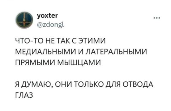 Прикольные картинки для хорошего настроения: «Я на грани нервного срыва…» (26 фото)