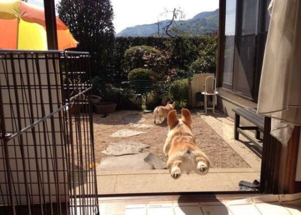 Прикольные картинки для настроения: «Бьюти-советы для мужиков…» (26 фото)