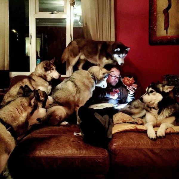 Приколы дня для всех и для каждого: «Когда единственный на созвоне…» (28 фото)