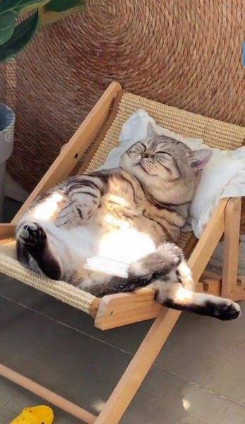 Фотопозитив в понедельник: «Называйте меня эскалатор…» (31 фото)