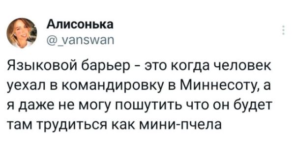 Прикольные комментарии: «Почему мы плачем, когда страдает лук?» (12 фото)