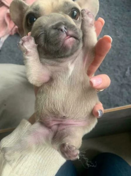 Прикольные фотографии, на которые придётся взглянуть дважды (12 шт)