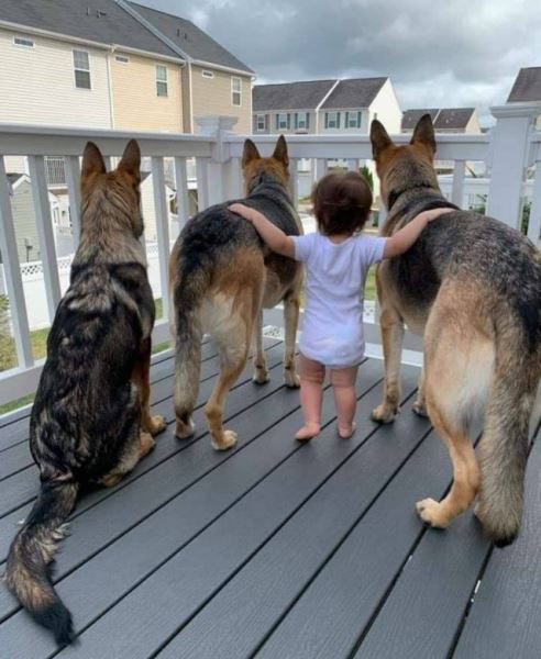 Прикольные картинки для хорошего настроения: «Я на грани нервного срыва…» (26 фото)