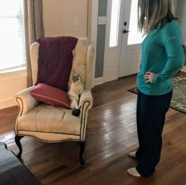 Прикольные картинки для настроения: «Бьюти-советы для мужиков…» (26 фото)