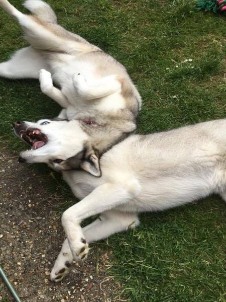 Прикольные фотографии, на которые придётся взглянуть дважды (28 шт)