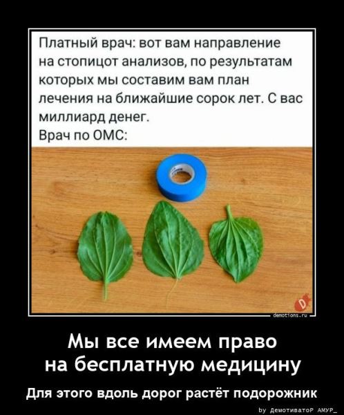 Демотиваторы дня: «Детское заблуждение — …» (14 фото)