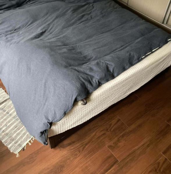 Домашние питомцы, которым прятки даются не очень (18 фото)