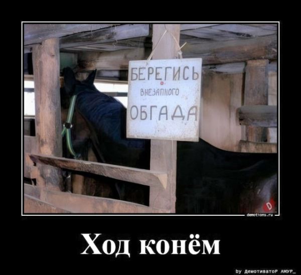 Демотиваторы на любой вкус: «Верить нельзя ничему…» (16 фото)