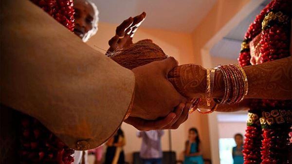 В Индии пара подала на развод, так как их кот и собака не ужились