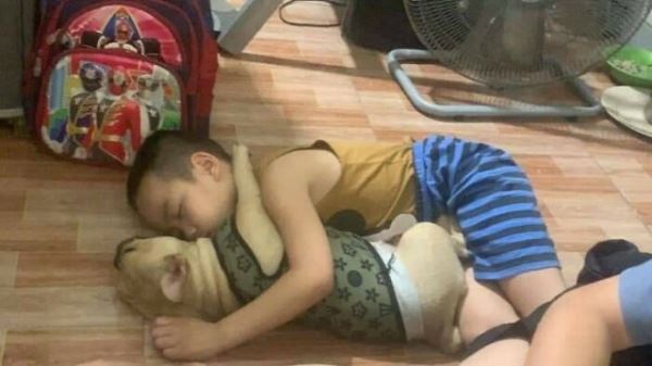 Смешные и милые собачьи кадры, чтобы день стал чуточку лучше (29 фото)